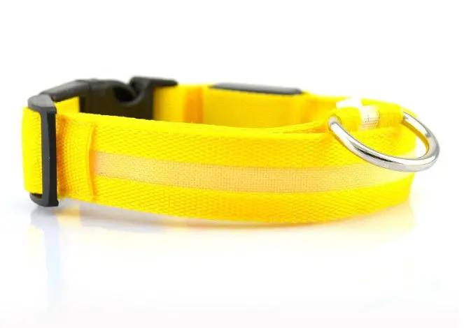 Safety Dog LED Collar by AuroreWear