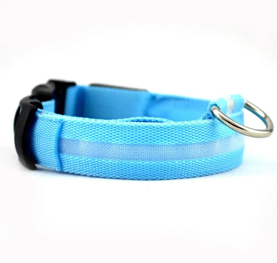 Safety Dog LED Collar by AuroreWear