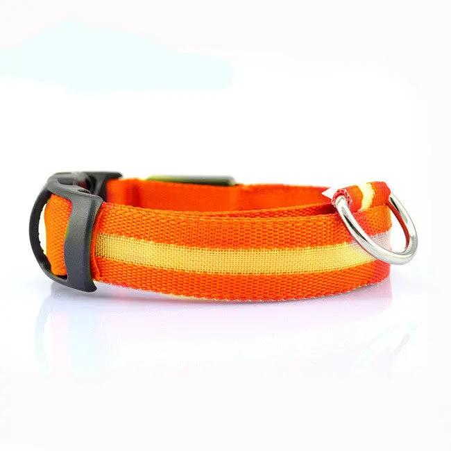 Safety Dog LED Collar by AuroreWear