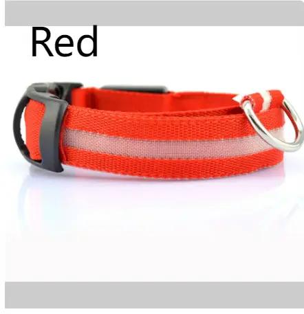 Safety Dog LED Collar by AuroreWear