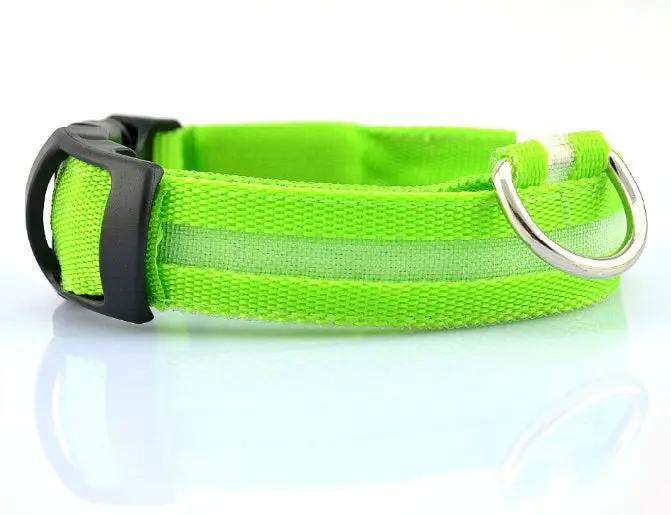 Safety Dog LED Collar by AuroreWear