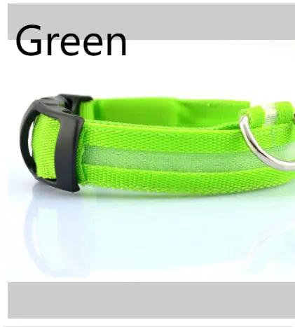 Safety Dog LED Collar by AuroreWear
