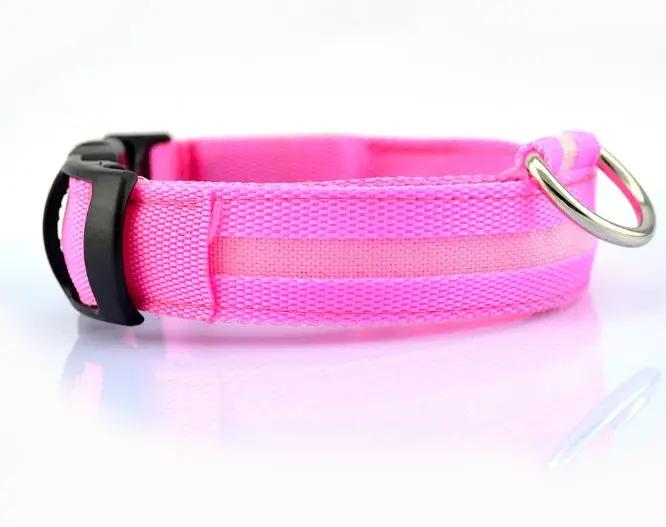 Safety Dog LED Collar by AuroreWear