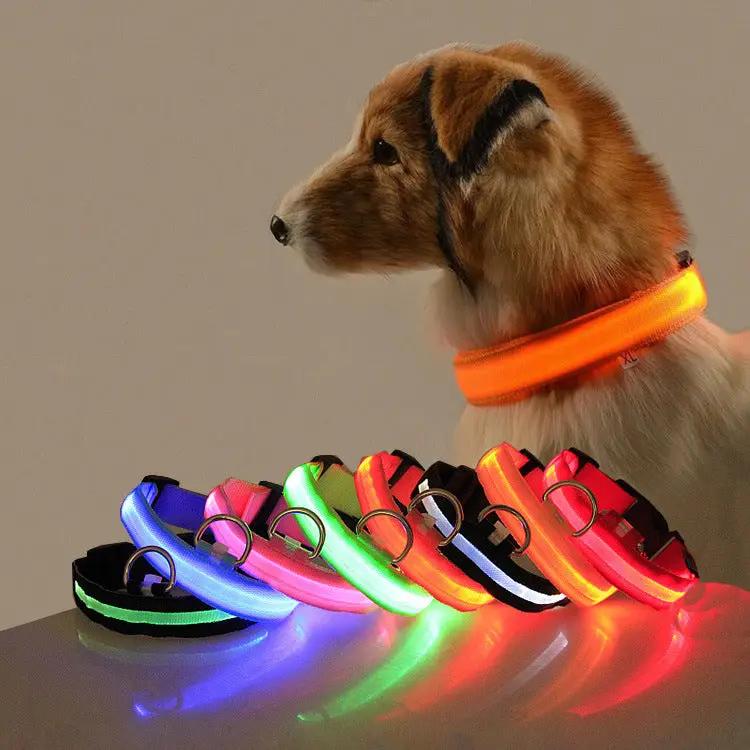 Safety Dog LED Collar by AuroreWear